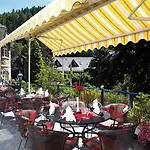 Rueters Parkhotel Ξενοδοχείο Willingen (Upland)