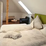 Rueters Parkhotel 4* Willingen (Upland)
