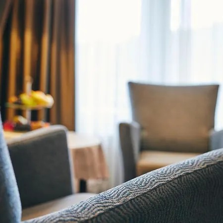 Hotel Vis A Vis Parkhotel 4*