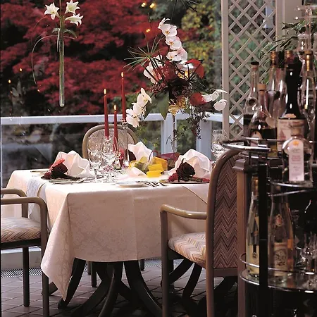 Vis A Vis Parkhotel 4* Willingen (Upland)