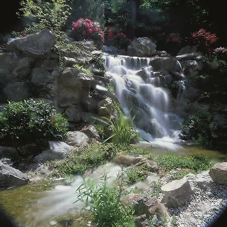 Vis A Vis Parkhotel Willingen (Upland)