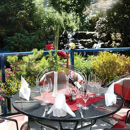 Hotel Vis A Vis Parkhotel