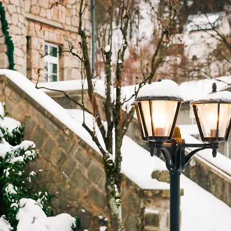 ホテル Rueters Parkhotel