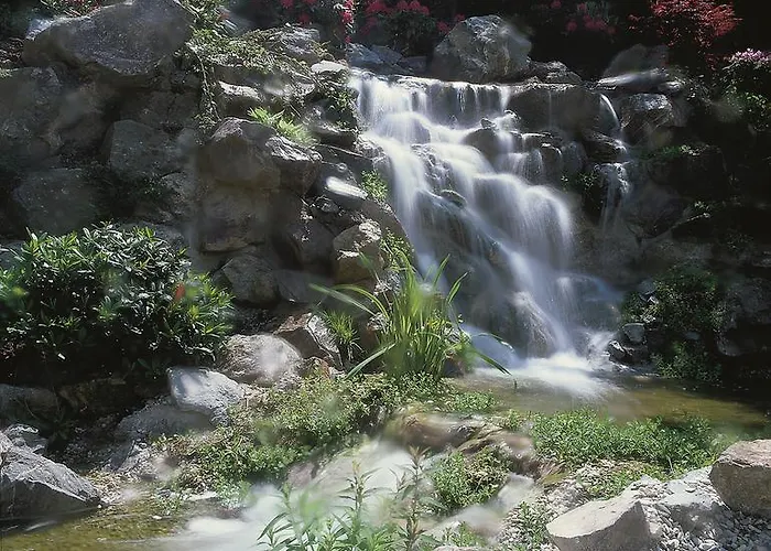 Rueters Parkhotel Willingen (Upland)